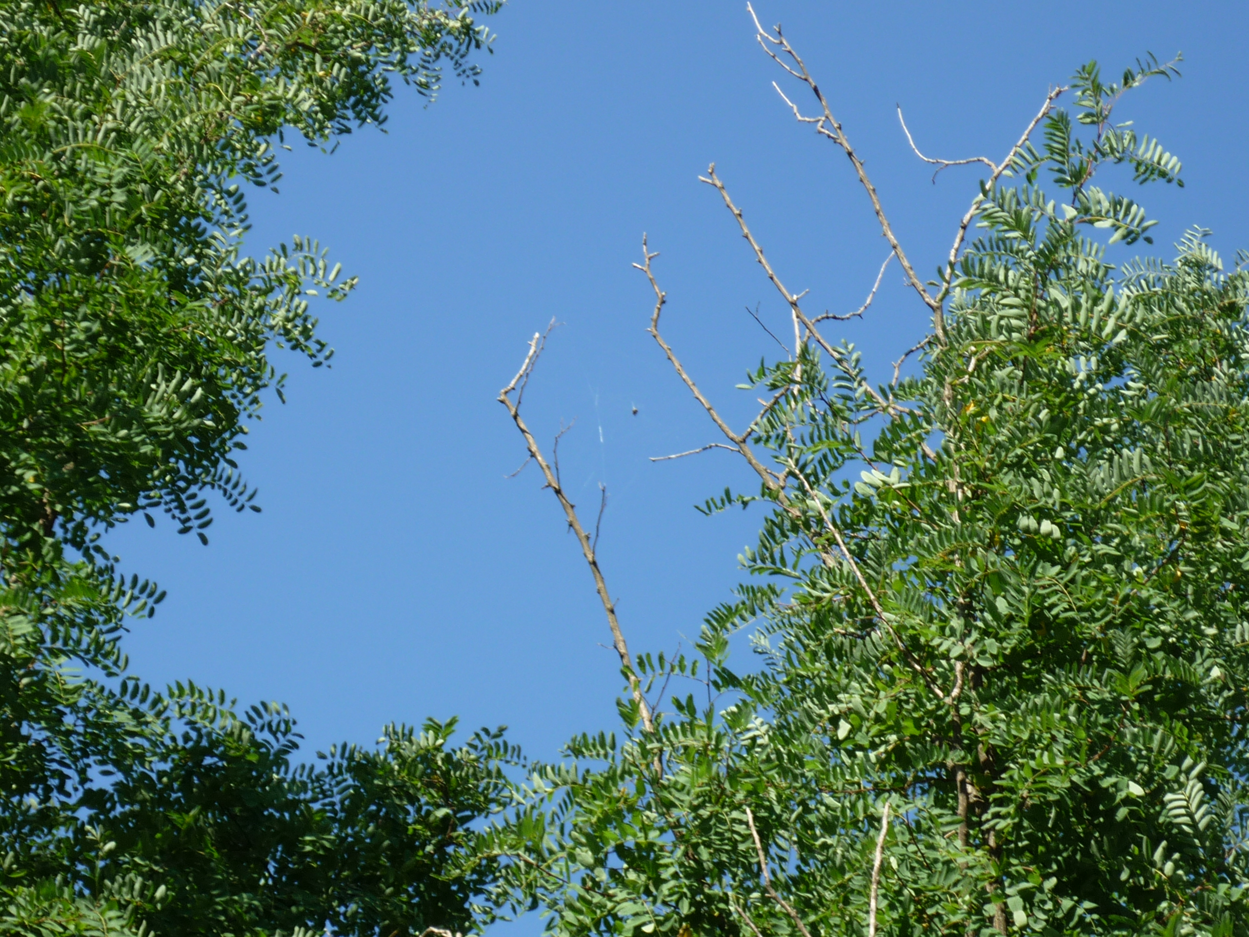 fotos/2011 - Los Reartes/P1010853.JPG